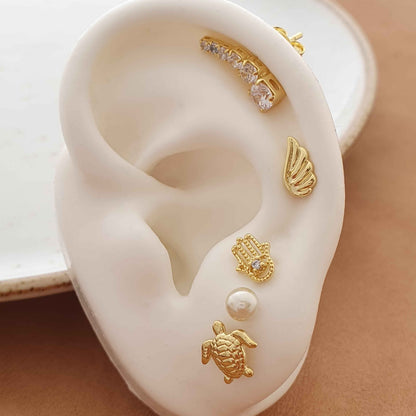 Arete Turtle
