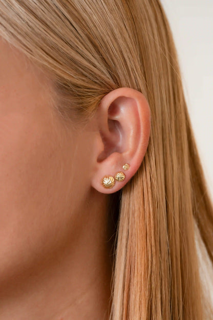 Arete Topo Balin Italy 4Mm