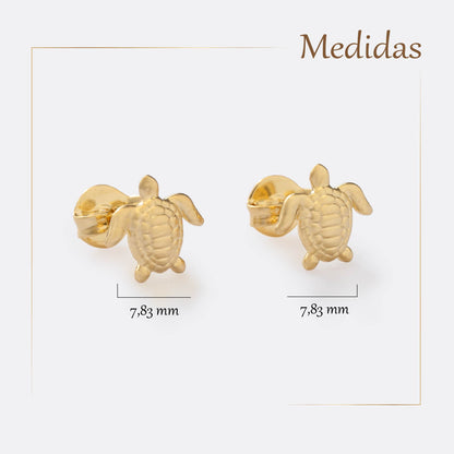 Arete Turtle