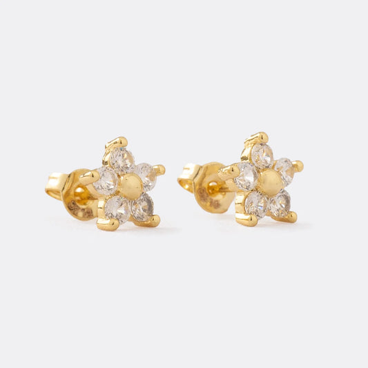 Arete Flor 5 circonias