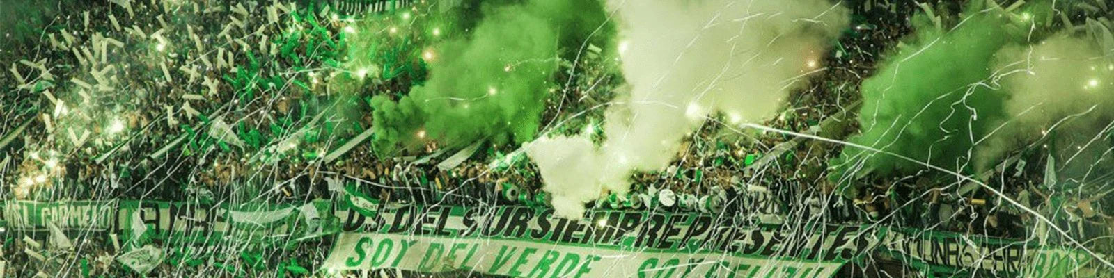 Hinchada verdolaga